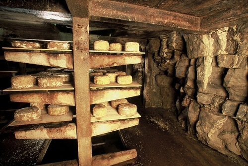 Formaggio II - Muffe