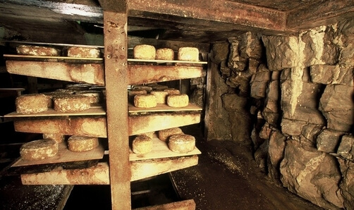 Formaggio II - Muffe